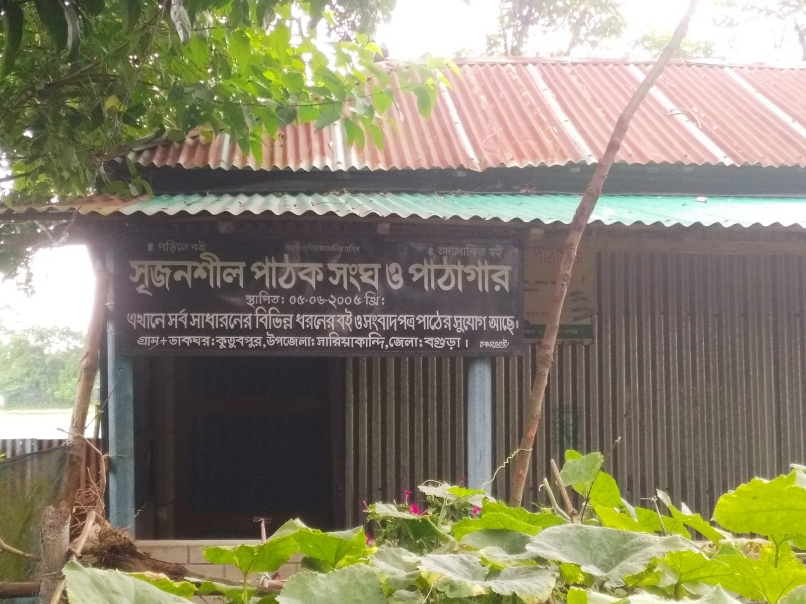 Library Image