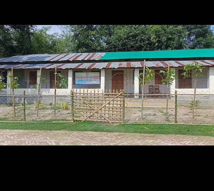 Library Image