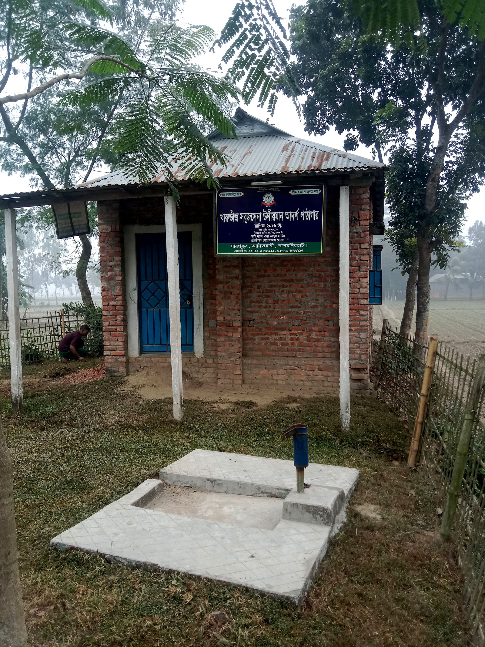 Library Image